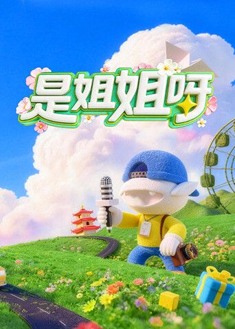 是姐姐呀在线观看