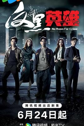反黑英雄 普通话版在线观看