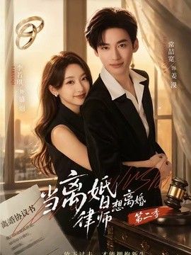 当离婚律师想离婚第二季在线观看