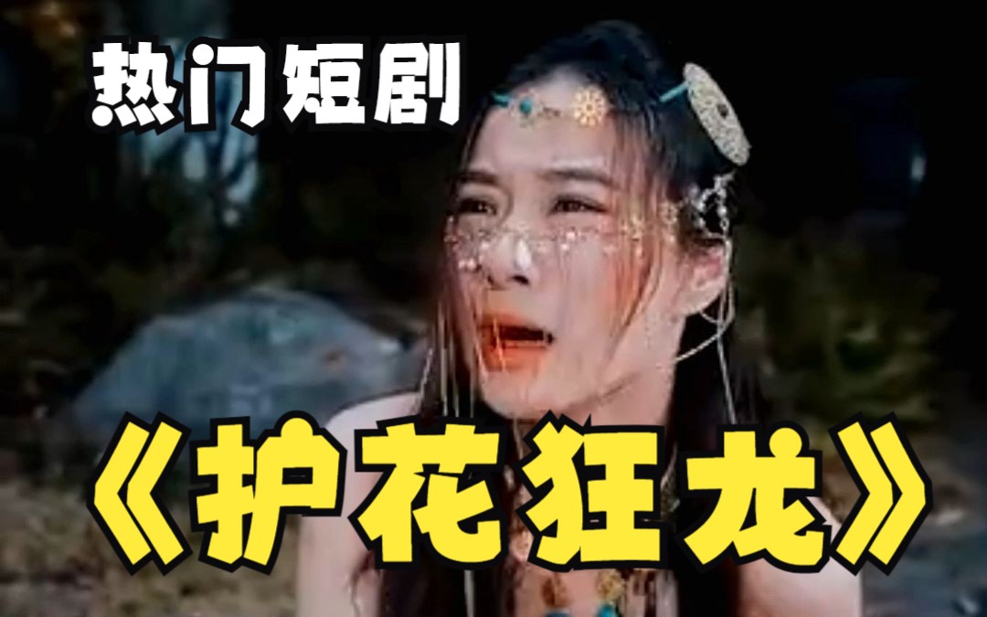 护花狂龙在线观看