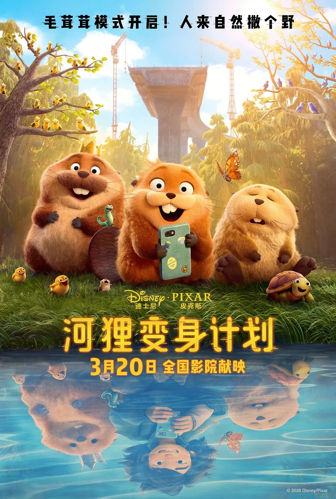 河狸变身计划（普通话版）在线观看