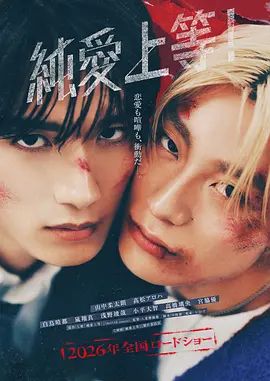 纯爱上等在线观看