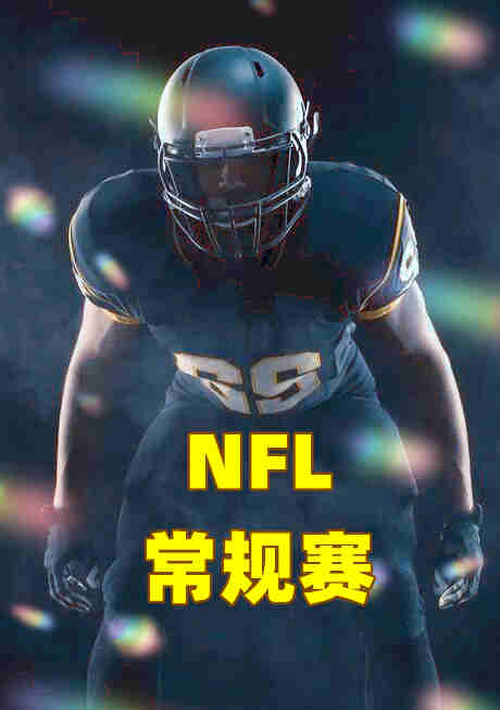 NFL常规赛-酋长vs闪电-20221121在线观看
